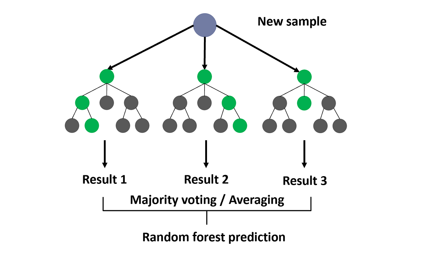 Example of a Random Forest structure and decision-making process